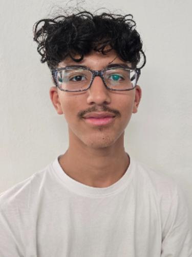 Aledin Ben Mansour