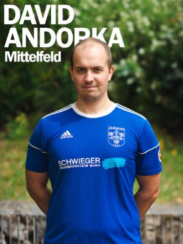 David Andorka