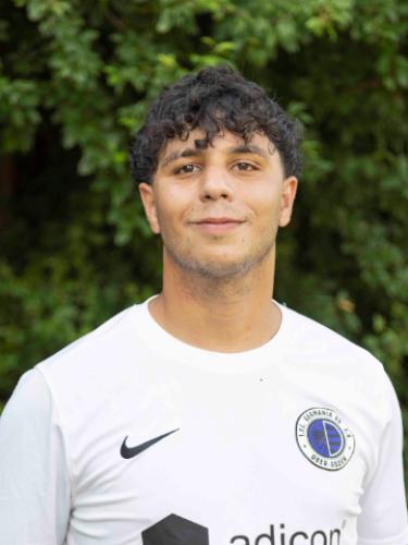 Ismail M Hamdi