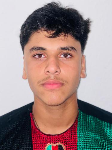 Mohammad Hamid Tanha