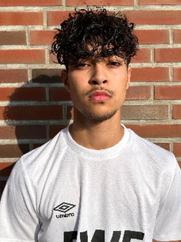 Amir Arab