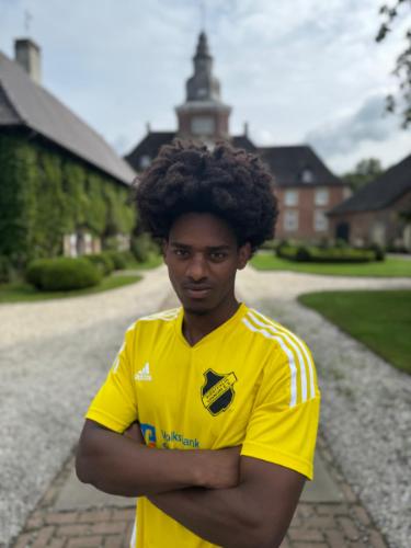 Henok Asefa