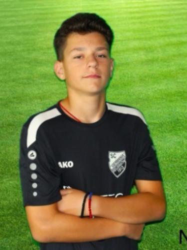 Nemanja Colovic