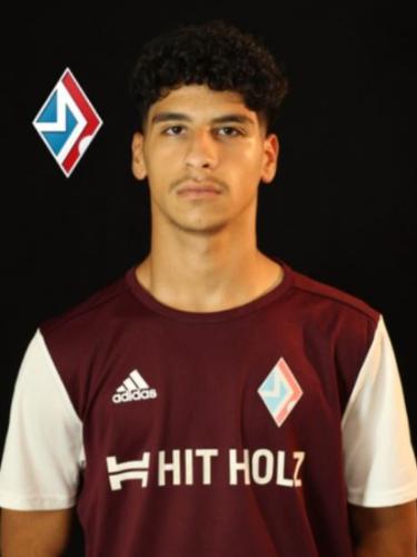Jehad M. A. Abordane