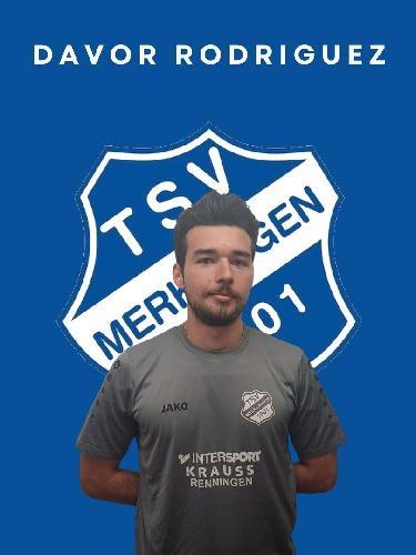 Davor Crljen Rodriguez