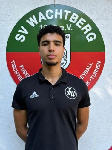 Anis Saidi