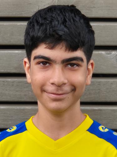 Aras Saka