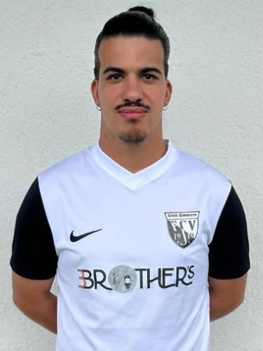 Diogo Gomes Mendes