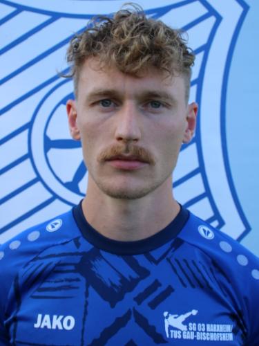 Henrik Holland