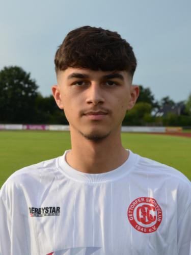 Tarik Esen