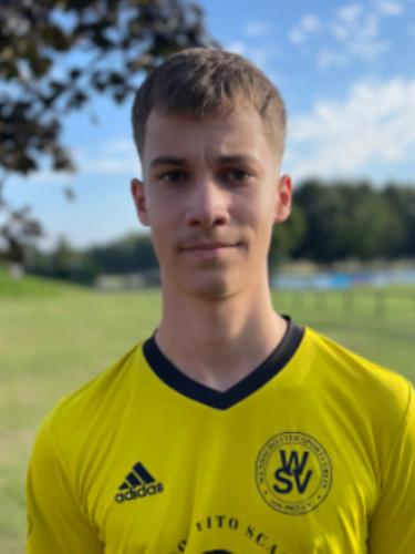 Marko Dobrosavljevic