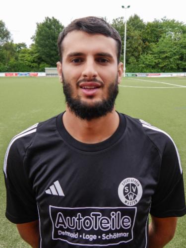 Adis Hulic