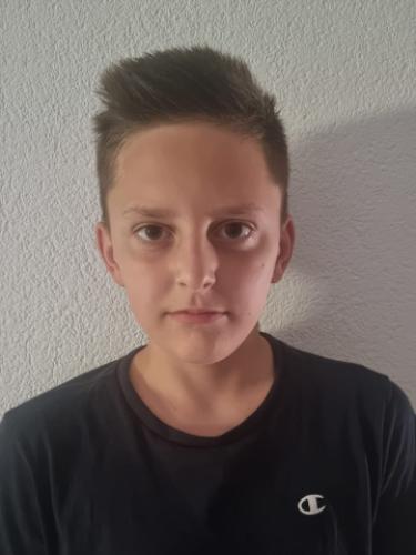 Tarik Brkic