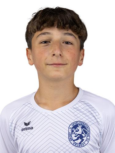 Taylan Hanemann