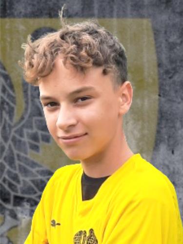 Max Henri Pferdmenges