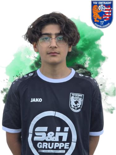 Mirza Celik
