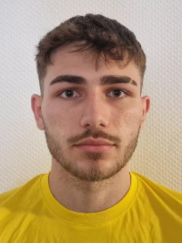 Dominik Sesli