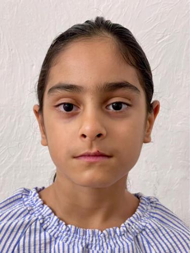 Barana Sedighian Bidgoli