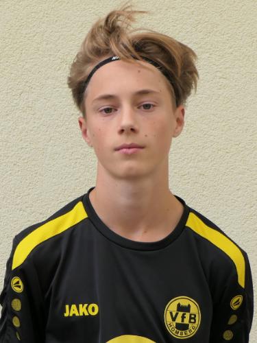 Henrie Johann Vieg