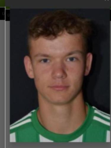 Dominik Bodenteich