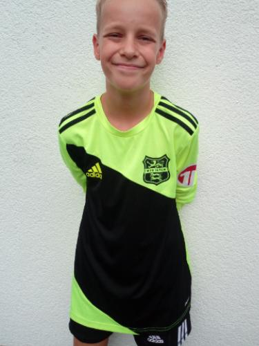 Julius Jonas Steinhaus