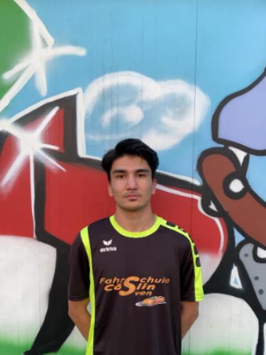 Amir Hossein Ehsani