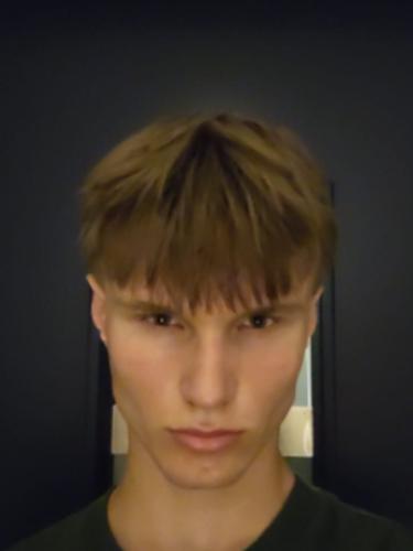 Laurids Leander Leupolt