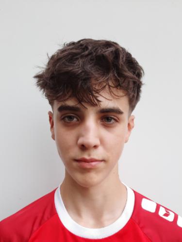 Lias Noel Gingel