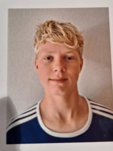 Hauke Lysander Stelljes