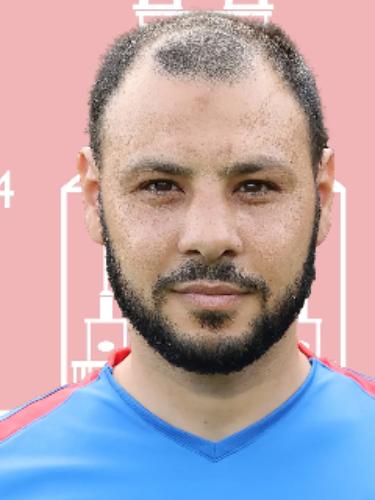 Taha Mohamed Abdelmaksoud El Seidi