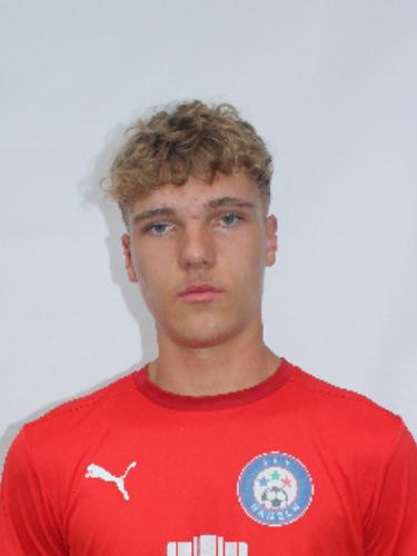 Alexander Gips