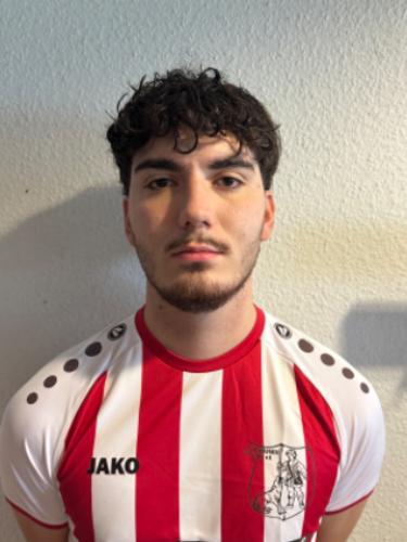 Serdar Celik