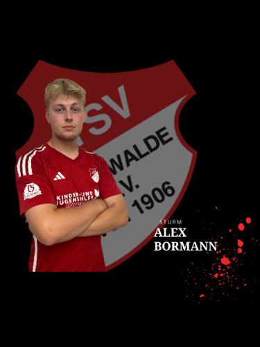 Alexander Bormann