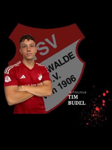 Tim Budel