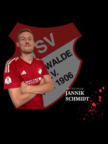 Jannik Schmidt