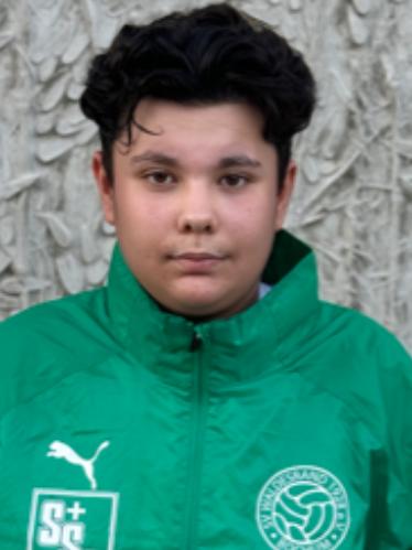 Sandro Prokupla