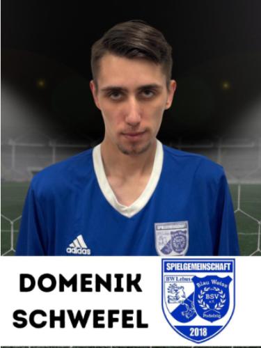 Domenik Schwefel
