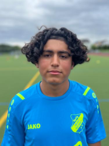 Mohamad Kanam Aleissa