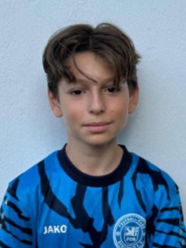 Darius Andrei Mitrescu