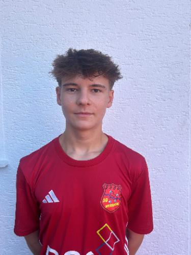 Emil Diek