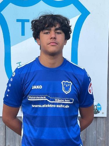 Arian Ataie