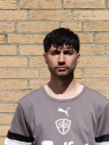 Alper Sari