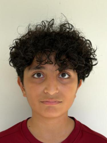 Sari Al Wardi