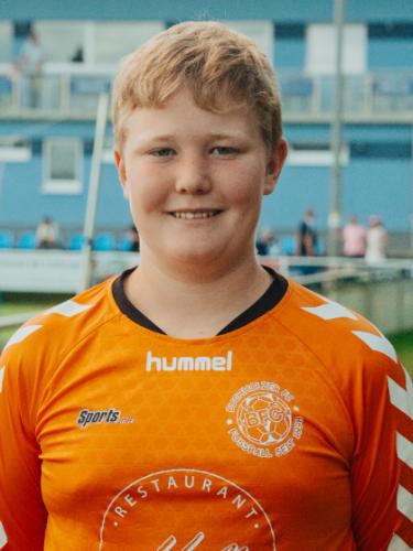 Moritz Hermann Willenborg