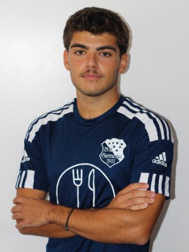 Dimitrios Makeliaris