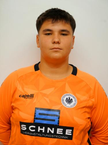 Luka Arsenovic