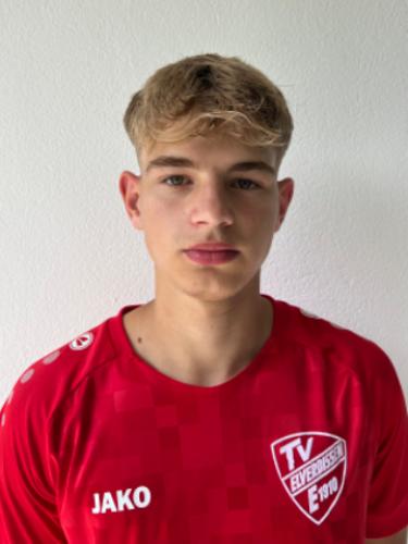 Hannes Soltau