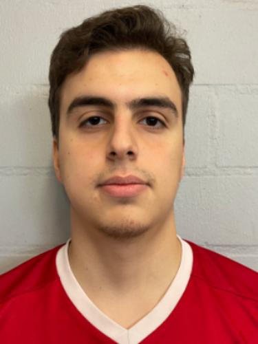 Irfan Emre Ahmedoglu