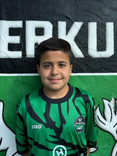Sarok Alizdo