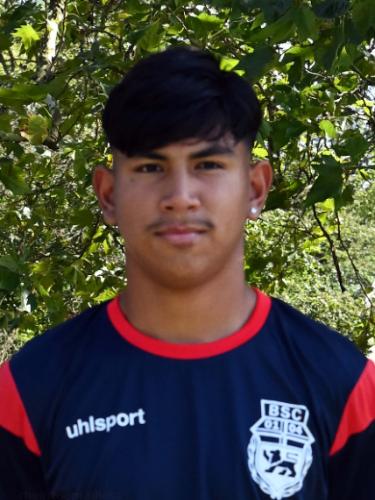 Fabrizio Adrian Harbauer Brena